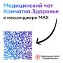 Жителям Камчатского края стал доступен медицинский чат Камчатка.Здоровье в мессенджере MAX