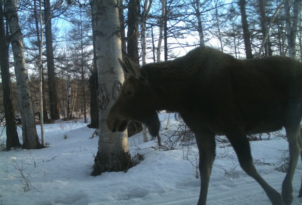 ���� ������� ���� ���������� � ��������� �����������