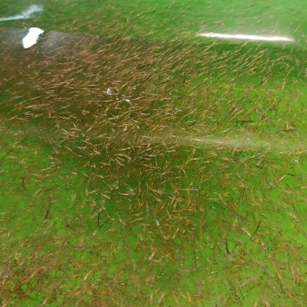 ���������� �������� ������ ������� �������� ������� ������� ������� �������