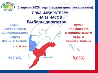 Активность избирателей по состоянию на 12:00 часов 3 апреля 2026 года составила 5,23% (2457 избирателей проголосовало):