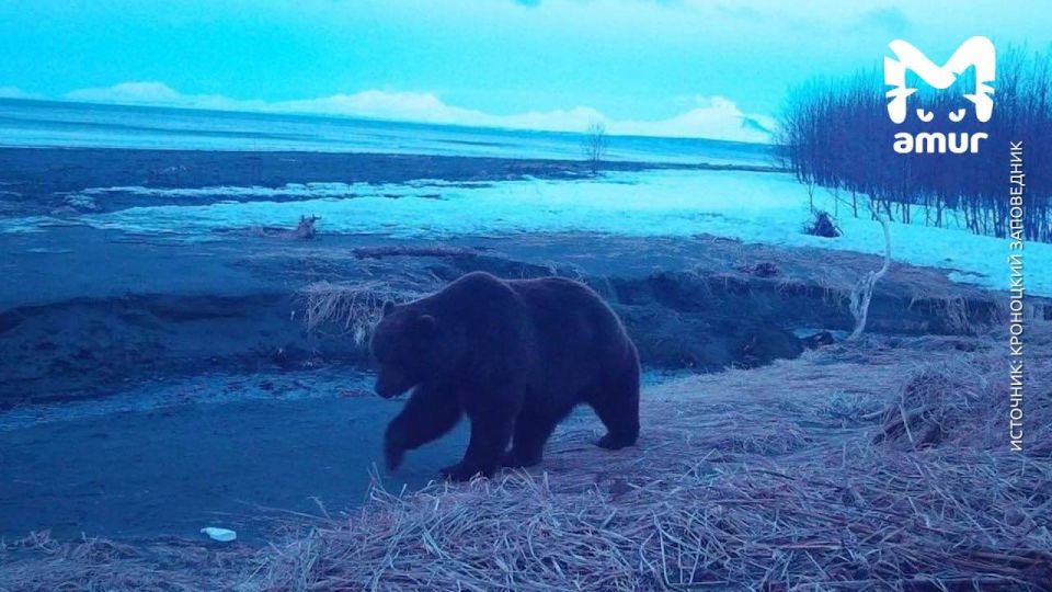 ������ ������� ��������� � ��������� ����������� �� ��������