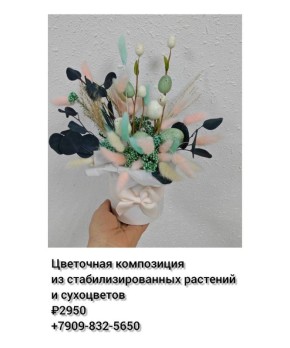 ��������� ������� �� ����� ��������