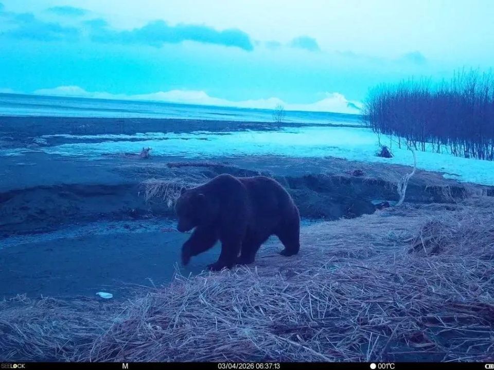 ������� � ��������: � ��������� ����������� ��������� ������ �������