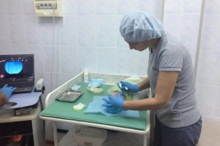 ���� �����������: ��� �������� ����� ��������� ������� ���� �� �������� �������