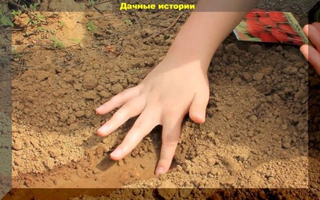 ���������� �������� �����: ������� � ������ ��� ������ �������