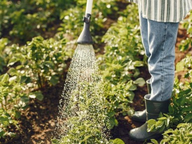 ��������� ��������� ������: ��� ��������� �������� ������� ��� ��� �� ��������