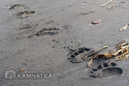 � ���������� ������ � ���������� ������ ��������� ������� ��������