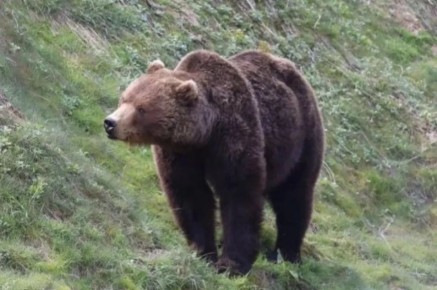 ��������, ���������� � ����, ��������� �� ��������