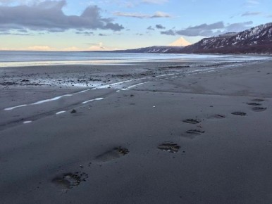 � ��������� �����������, � ����� �����, ��������� ������� ��������� ������� ������������� �������