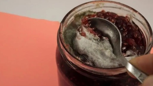 Как предотвратить плесень в варенье: советы и хитрости