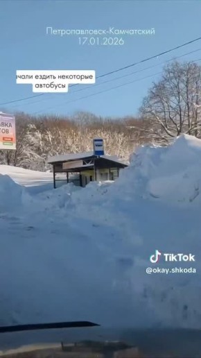 Глава Петропавловска-Камчатского Евгений Беляев подал в отставку