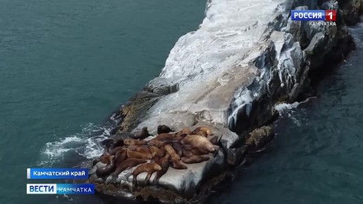 Эколог — не просто профессия, это призвание