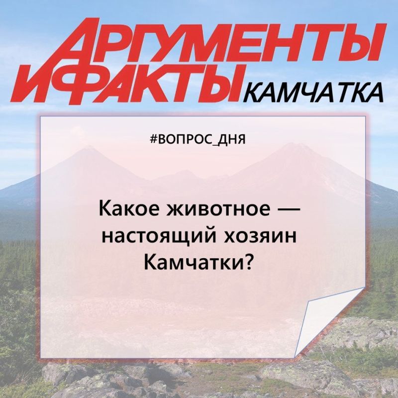 #������_���. ��������� � ������ � ������������, ������ ������� ������ ���� �������! � �����, ���� ���� �������? �����������!