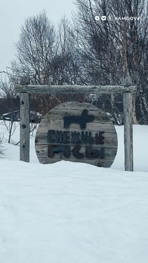 Воспитанники дома ребёнка на Камчатке побывали на экскурсии в питомнике ездовых собак «Снежные псы»