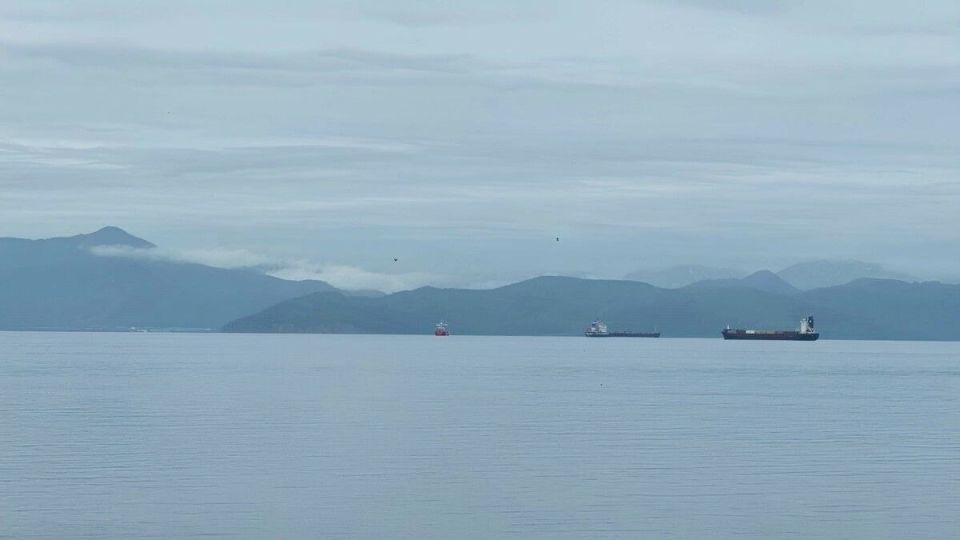 ����� ���: � 12 ������ �� �������� ����������� ��������� ��� ���������� �����