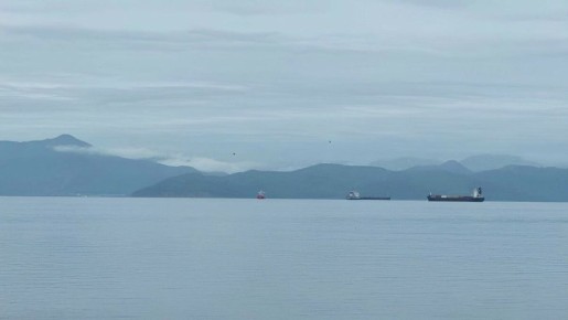 ����� ���: � 12 ������ �� �������� ����������� ��������� ��� ���������� �����