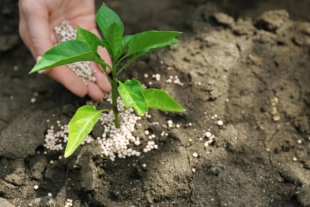 ������ ������ ����� ��������� ����� ���������