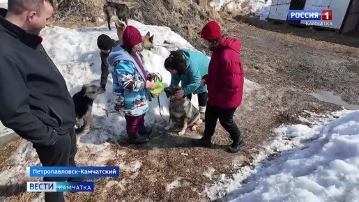 Зима на Камчатке в этом году выдалась аномально снежной
