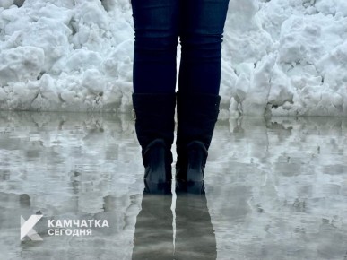 ������������ ������ ����� ������� ��������