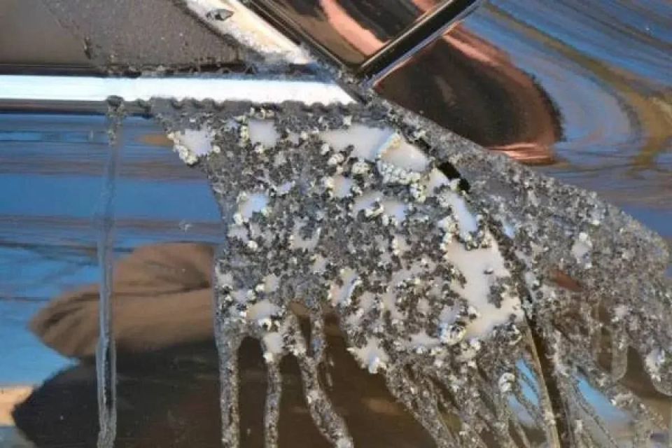 «Яйца — обидно, кислота — статья»: как елизовчанин отомстил экс-сожительнице