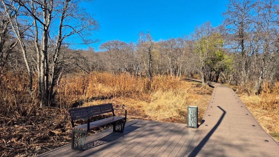 В голосовании за название нового эко-парка лидирует «Дачный»