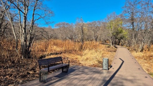 В голосовании за название нового эко-парка лидирует «Дачный»