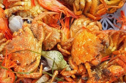 ����������� ������������ �� ����� �������� �����