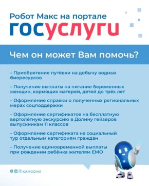 Робот Макс на портале госуслуг помогает жителям Камчатки в получении региональных услуг
