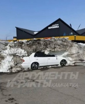 �������� ������������ ���������� �� ��������