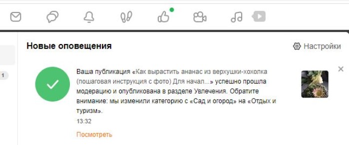Как из садоводов становятся туристами: парадокс нашего времени