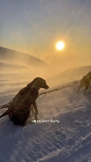 ������ ����, ��������!. #���������������� ����� @odyssey_kamchatka