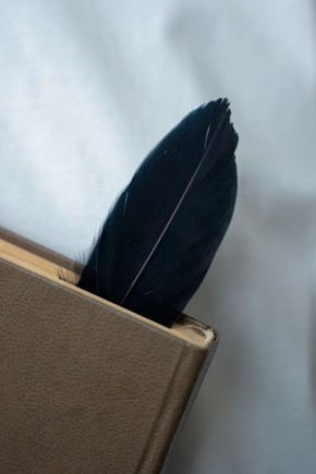 Когда критика становится излишней: взгляд на рекламу и контент