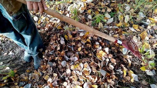 �������� ������� ��� ����: ��� ������� �������� ��� ������