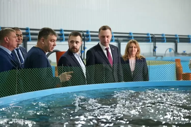 Форелевое хозяйство «Салмон» расширяет горизонты с переработкой рыбы