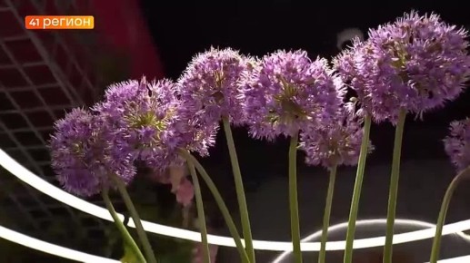 Жителям Камчатки рассказали о модных тенденциях этой весны во флористике • Прямая речь