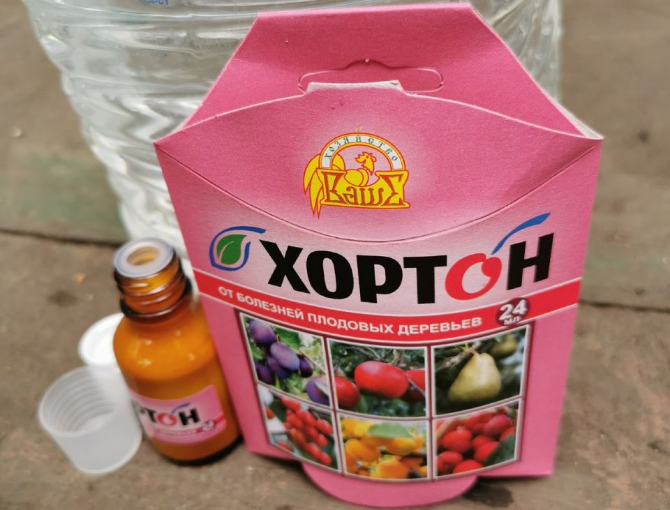 ��� '������' ������� ���� �� ��������: �������� ���� � ����������