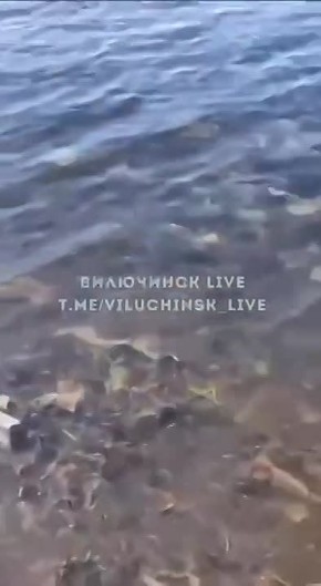 ������ � �����?. ������ ���������� ���� �� �����, ��� � ����� �������������� �������� ����������� ��������������� �����