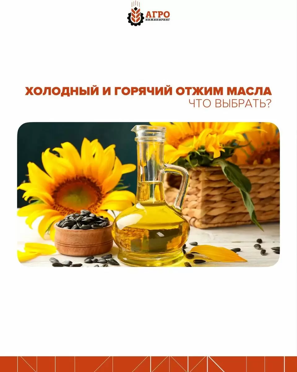 Горячий или холодный отжим: какой способ лучше для получения масла?