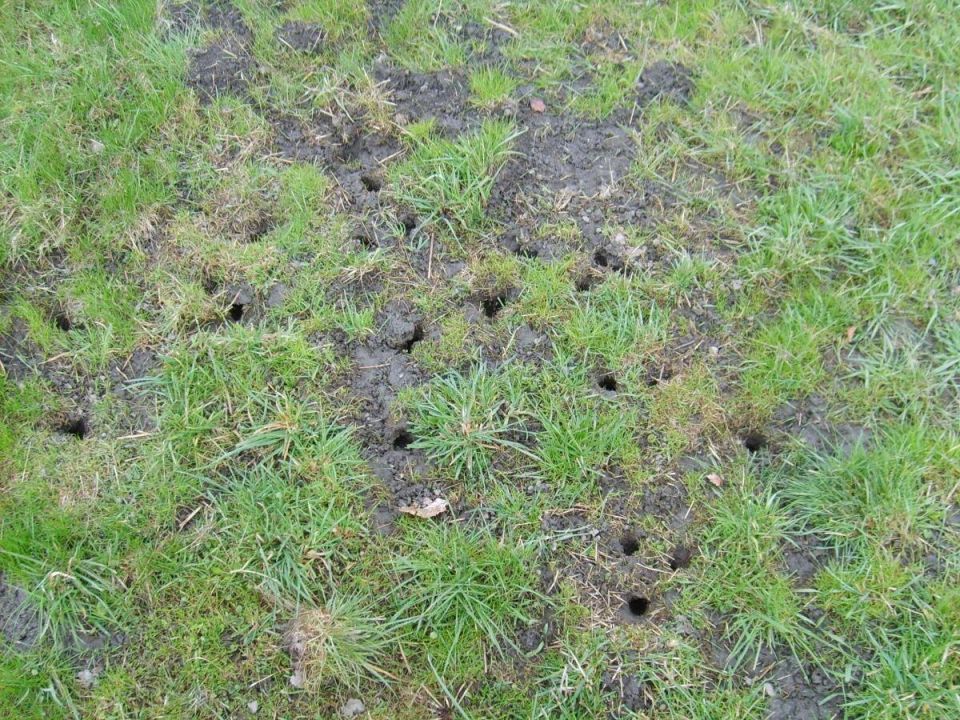 ���� �� �������: ��� �������� ��� �� ������� � ������� ��������� �������