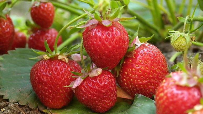 ��������� ����� �� ���������: ��� ���������� �� �������� � ��������� ������