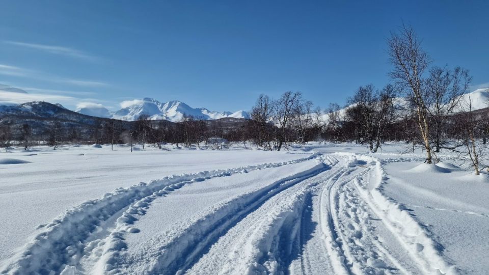 ������ �������� ������� �� �������� � ��� ����������� � ������� ����������� ������, ���� ��� �������, ����� � ���� ��� ��� ������ ����