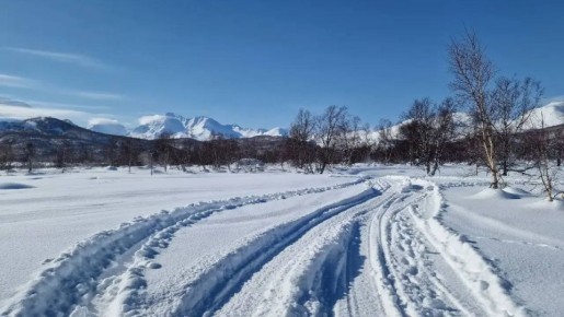 �� �������� ���� ������� ��������, ��������� � ����������� �����