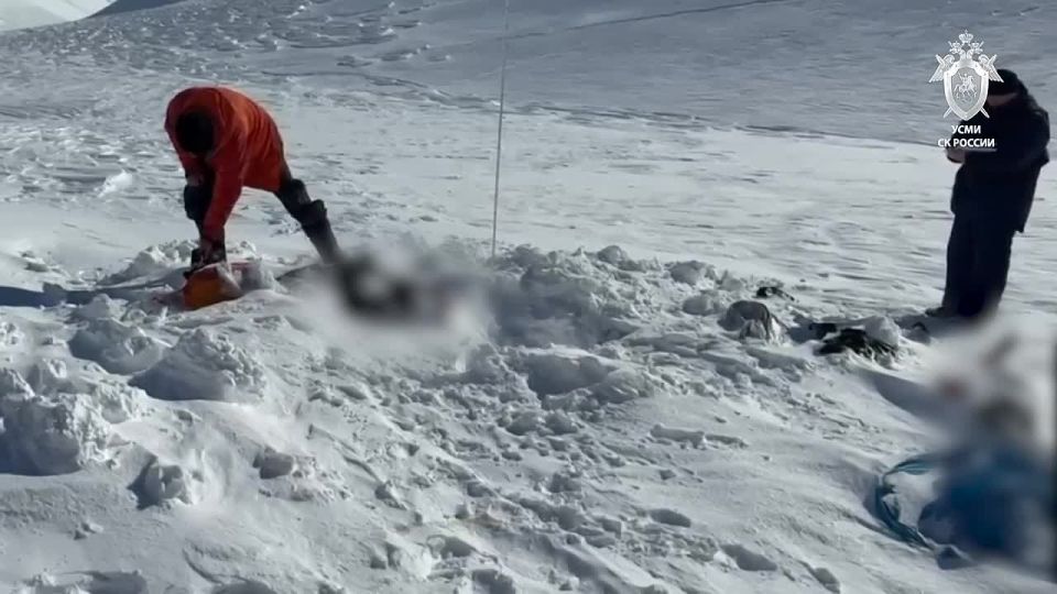 ���� �������� �� ���������� �������� �������� ������������