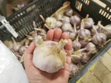 ��� ��������� ���������� ������: ������� ������