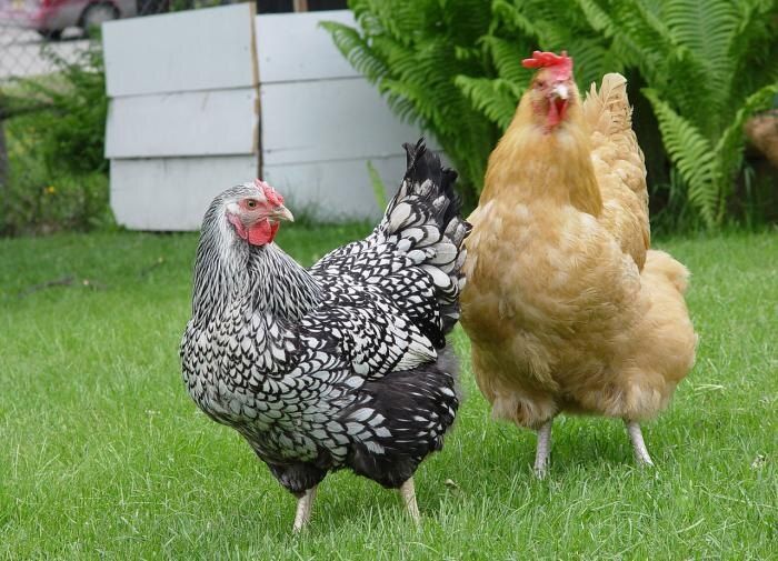 ��� ���������� �������������������� �������� �� ���� ����� �������� ���� �����