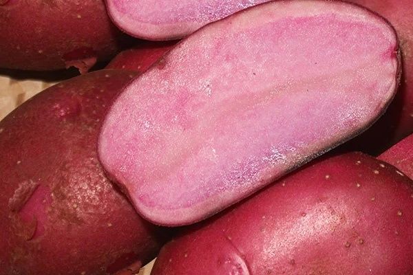 ��������� �������: ����� ������� ��� �������� ��������