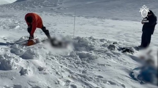 Погибшие на Камчатке туристы скончались от переохлаждения, сообщает СК