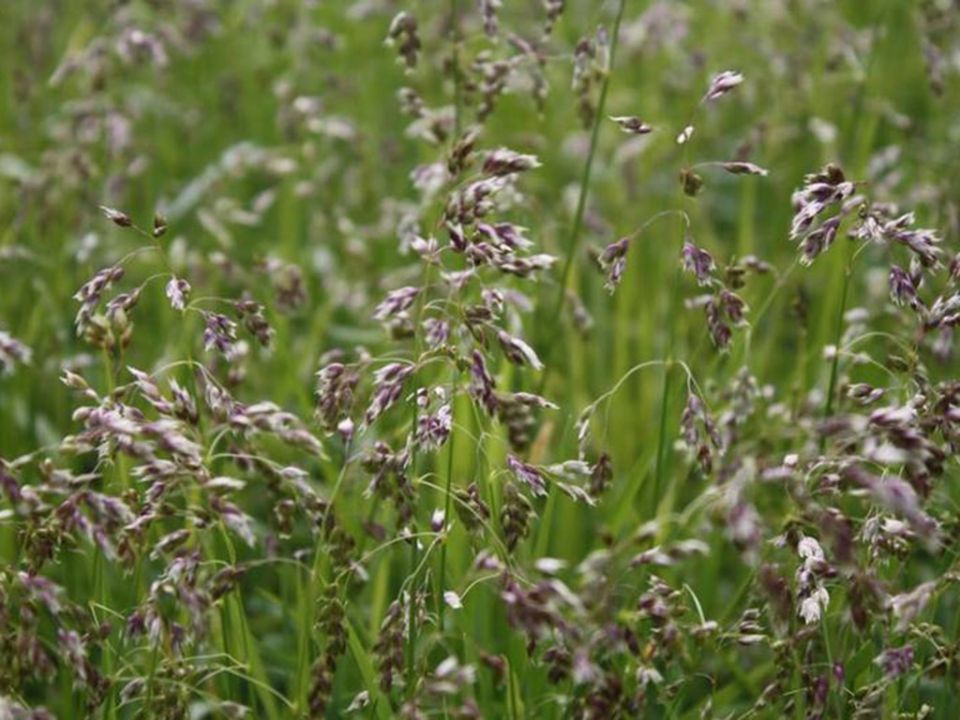 ��������: ��������� ������� �� ������ ��������� ������