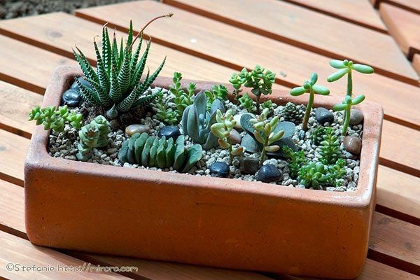 ��� �������� ������� � ����������: ��������� �������� � ����� ���������