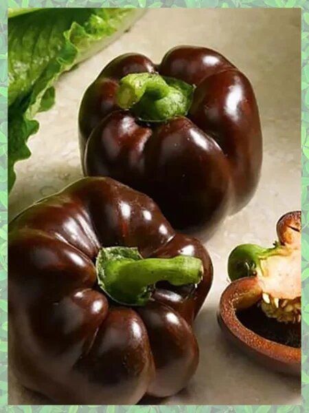 ����� ������ � ���������� �������� ��� ������ �������